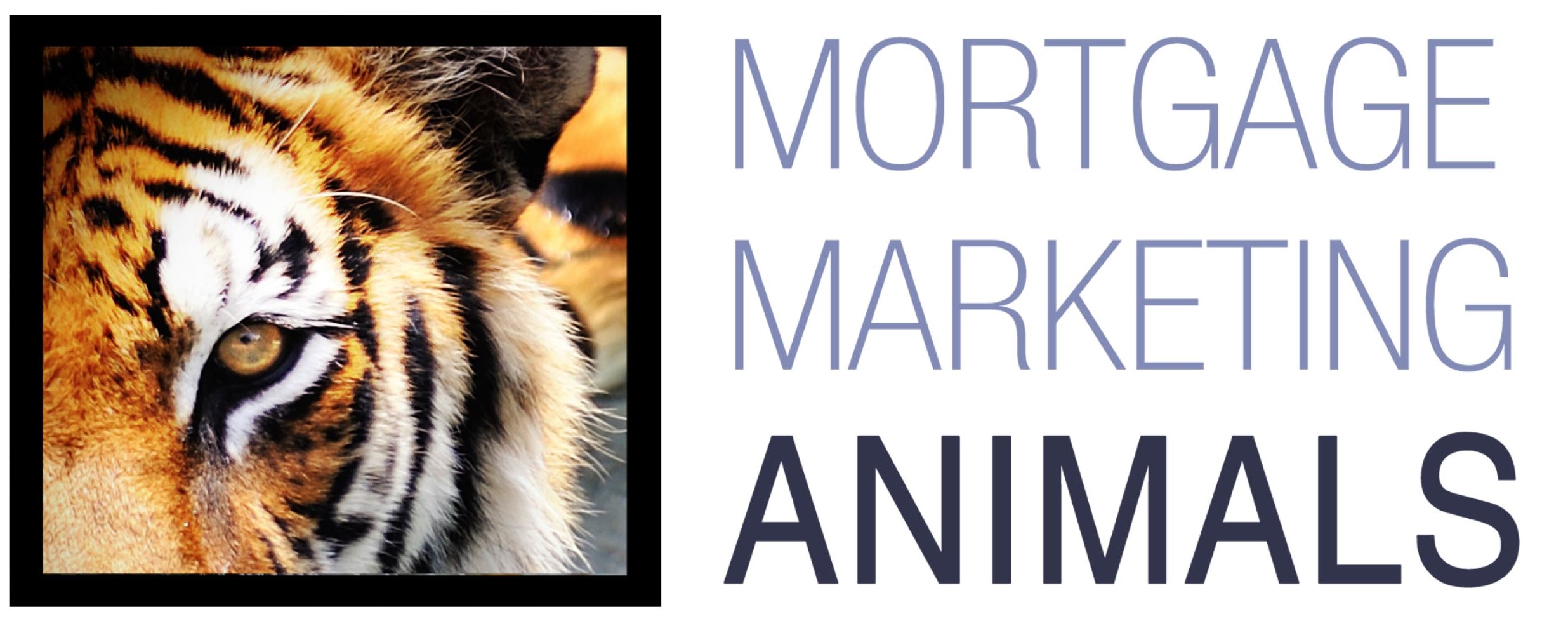 Mortgage Marketing Animals logo